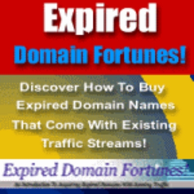 Product picture Money Online - Expired Domain Fortunes  